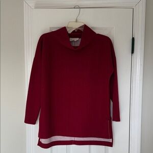 Elegant Burgundy Cowl Neck Sweater